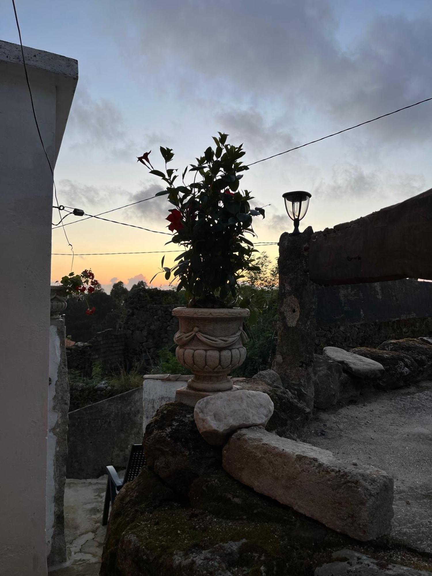 Mirada Do Roxo Homestay *